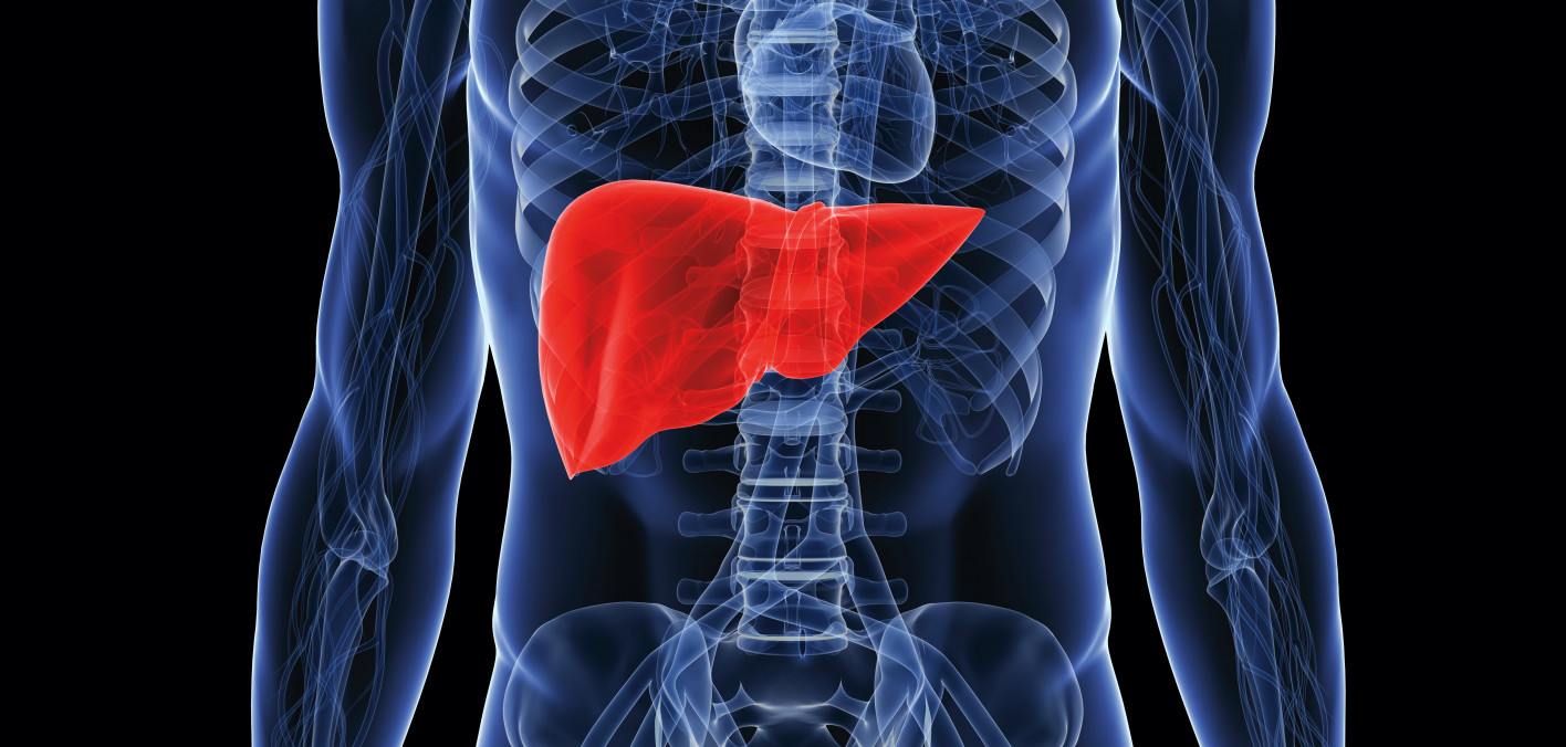 Liver ast:. Liver function test. Liver analysis. Transcriptom. Liver analysis.