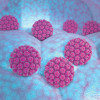 HPV Virus illustration