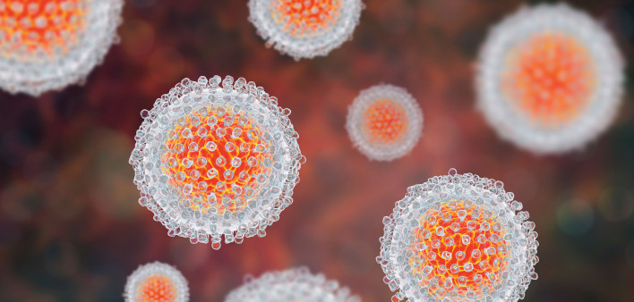 Hepatitis C virus model, 3D illustration.