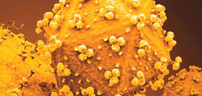 HIV VIrus