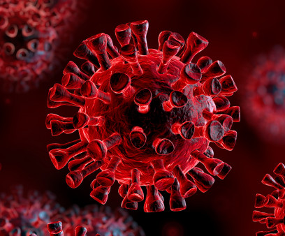 coronavirus
