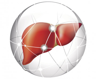 liver, liver cancer