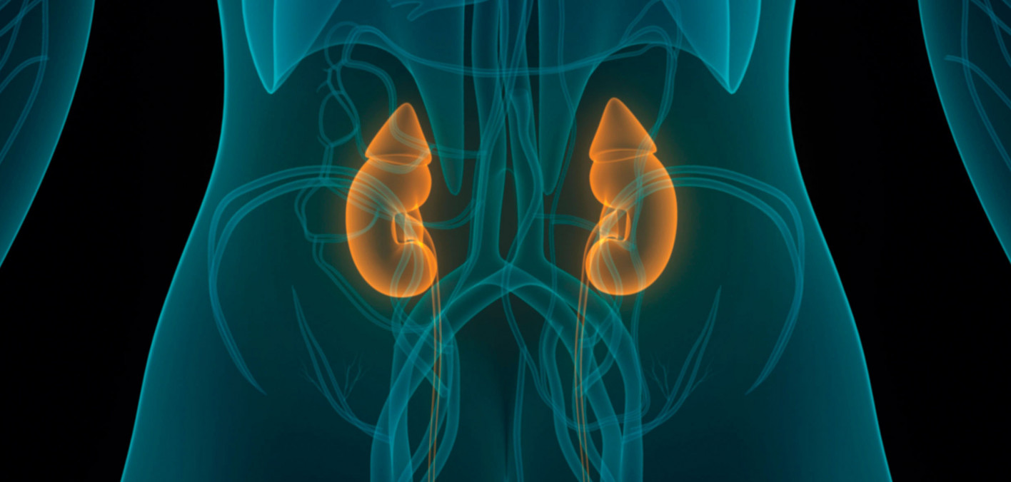 ThreeDrug Combination Slows Progression of Advanced Kidney Cancer