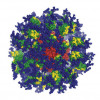 Computer image of the eOD-GT8 immune-stimulating protein.
