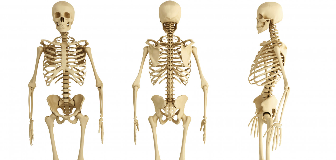 Bone Cancer Real Health