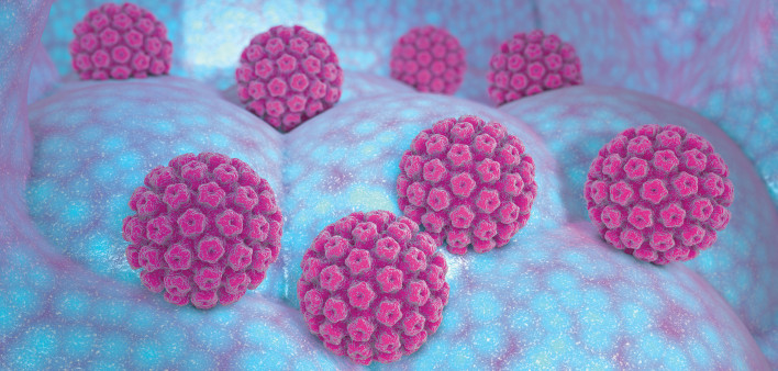 HPV Virus illustration