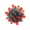 HIV and Coronavirus