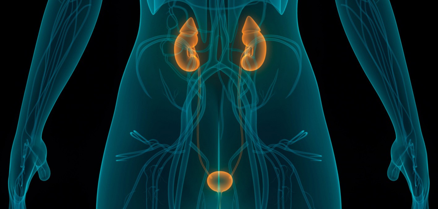 For Common Form of Bladder Cancer, Chemo Combo Is Effective Alternative