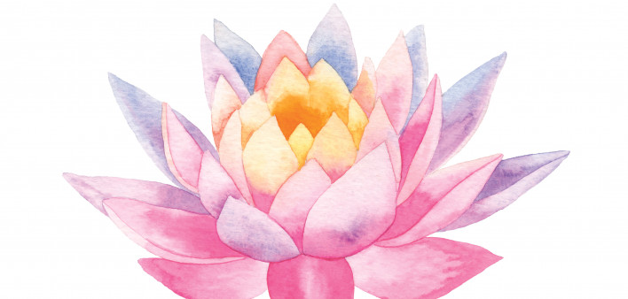 illustration lotus flower
