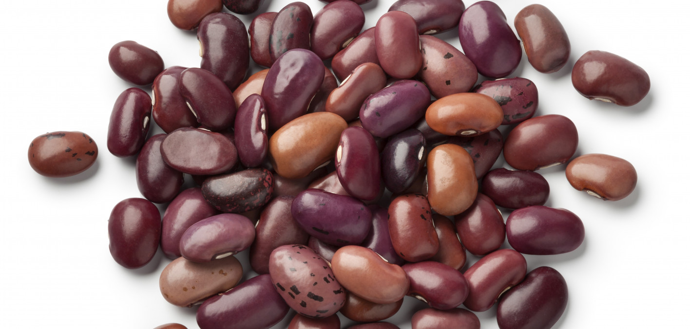 Pulses An Overlooked Food in a PlantBased Diet for Cancer Prevention