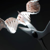 illustration scissors cutting DNA crispr