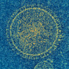 Image of respiratory syncytial virus (RSV)