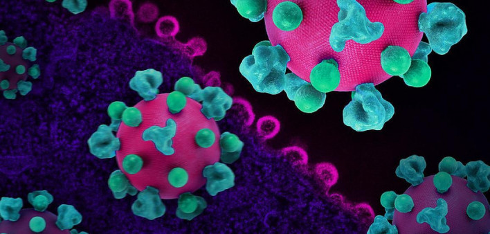 Layout featuring colorized 3D prints of HIV virus particles (pink with teal surface proteins) and a background image that is a colorized transmission electron micrograph of HIV virus particles (pink) budding and replicating from an H9 T cell (purple). Mic