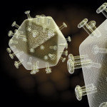 illustration of hiv virus