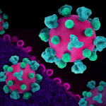 Layout featuring colorized 3D prints of HIV virus particles (pink with teal surface proteins) and a background image that is a colorized transmission electron micrograph of HIV virus particles (pink) budding and replicating from an H9 T cell (purple). Mic