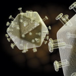 illustration of hiv virus