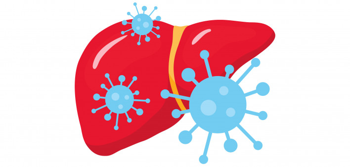 illustration virus and liver