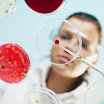 petri dish scientist