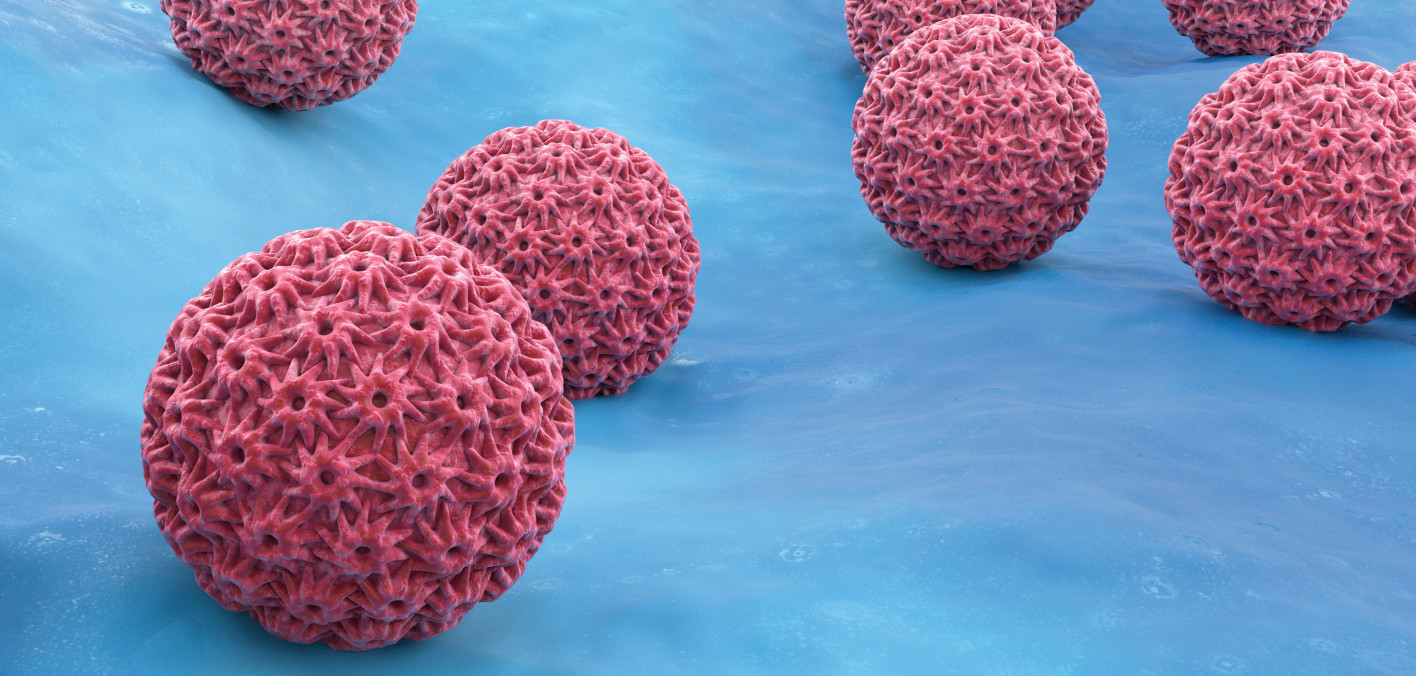 One Dose of HPV Vaccine Is as Effective as Two