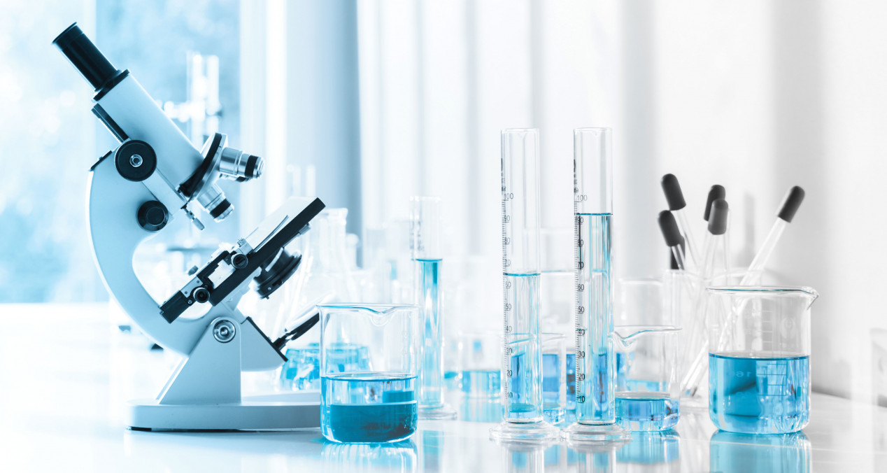 New KIR-CAR T-Cell Therapy Shows Promise in Multiple Solid Cancers