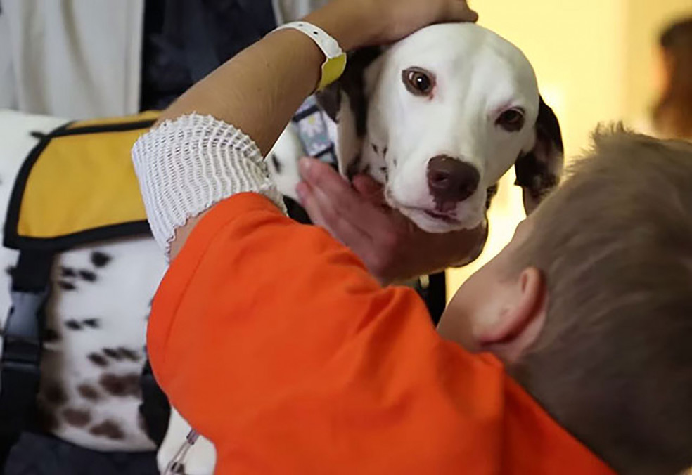 Cleaning Dogs Helps Kids With Cancer Benefit From Pet Therapy Cancer