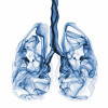 smoke in the shape of lungs