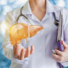 Doctor and liver illustration