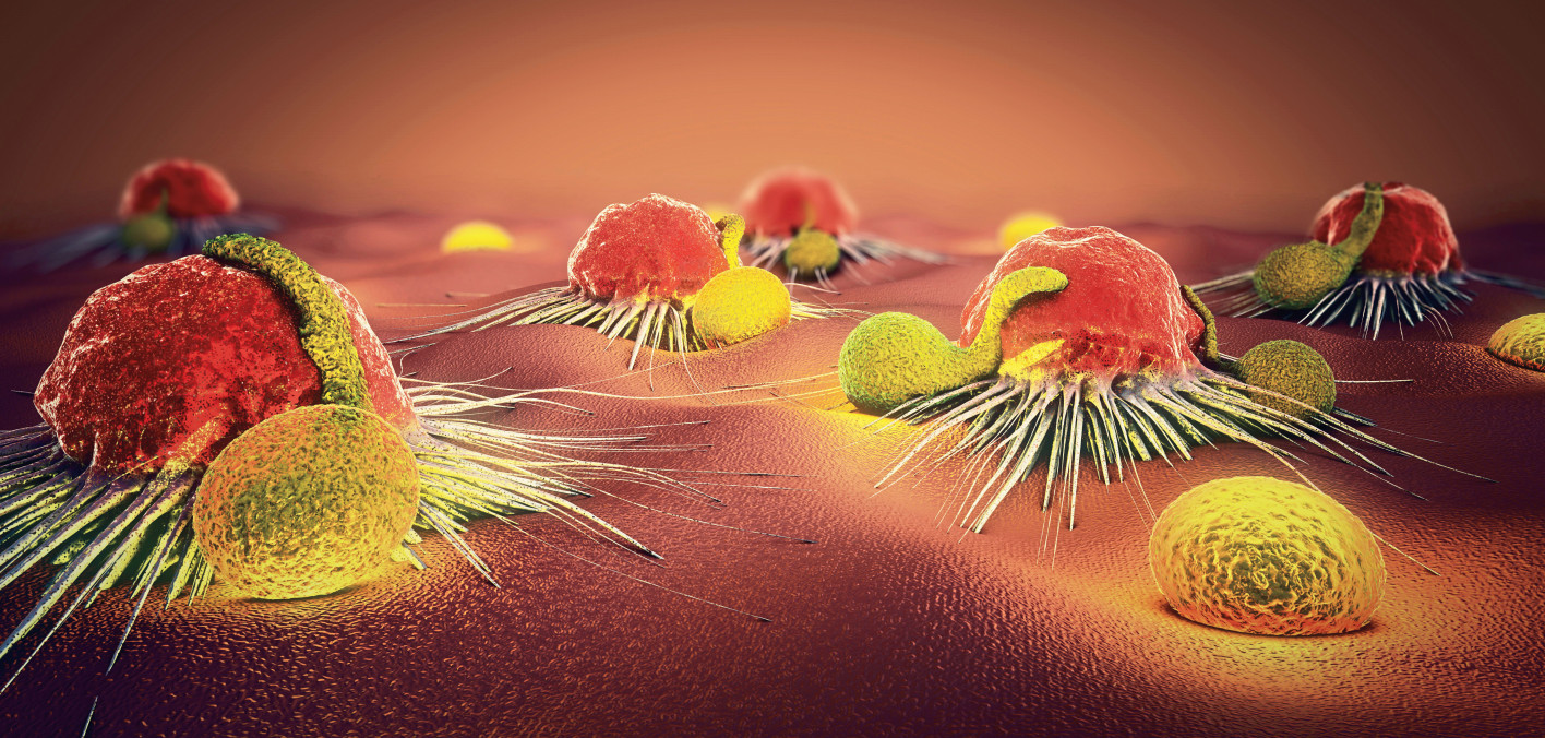 New CARs Cancer Health